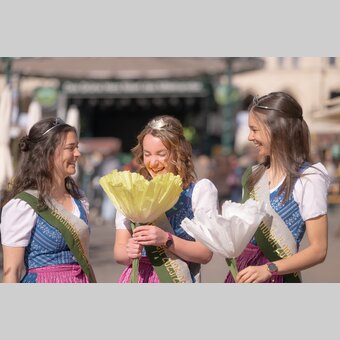 Die Steiermark bringt den Frühling | © RENE STRASSER | RENE STRASSER     FOTOGRAF