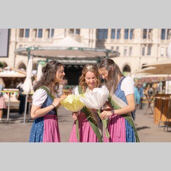 © RENE STRASSER | RENE STRASSER     FOTOGRAF