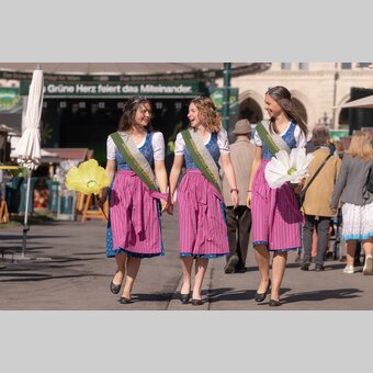 Die Steiermark bringt den Frühling | © RENE STRASSER | RENE STRASSER     FOTOGRAF