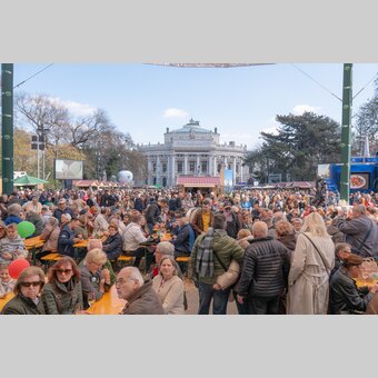 © RENE STRASSER | RENE STRASSER     FOTOGRAF