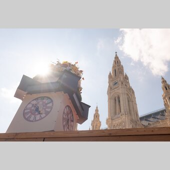 © RENE STRASSER | RENE STRASSER     FOTOGRAF