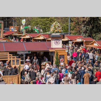 © RENE STRASSER     FOTOGRAFIE | RENE STRASSER