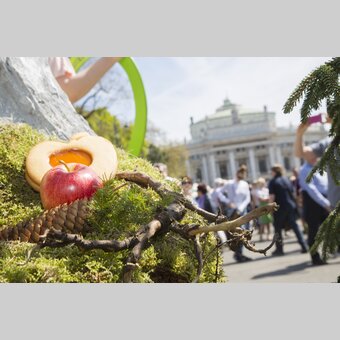 Steiermark_Frühling_Essen_und_Trinken | © STG | Jürgen Hammerschmid