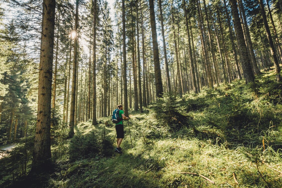 PackageWaldbaden im Naturpark Mürzer Oberland - Kraftquelle Wald | © TV Hochsteiermark, Foto nixxipixx