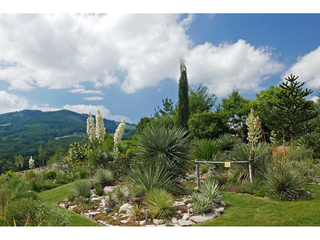 Privatgarten Wüstengarten | © Der Wüstengarten