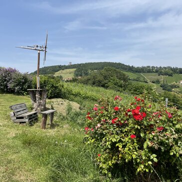 Blick zur Demmerkogelwarte