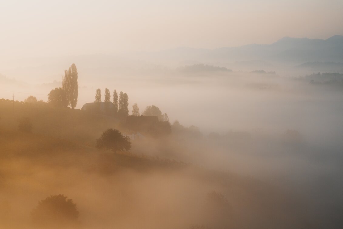 Herbst in der Südsteiermark | © TVB Südsteiermark | cmvisuals