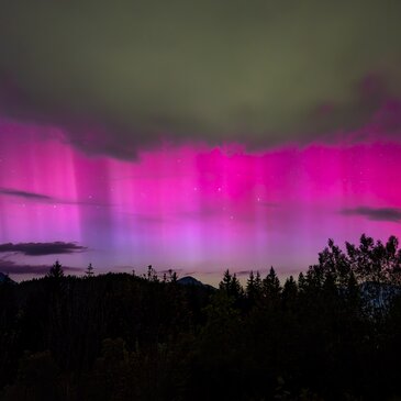 Polarlichter in Pink und Violett über dem Hochschwabgebirge, aufgenommen vom Pogusch mit Blick Richtung Hohe Veitsch, Nachtaufnahme mit Silhouetten von Bäumen im Vordergrund