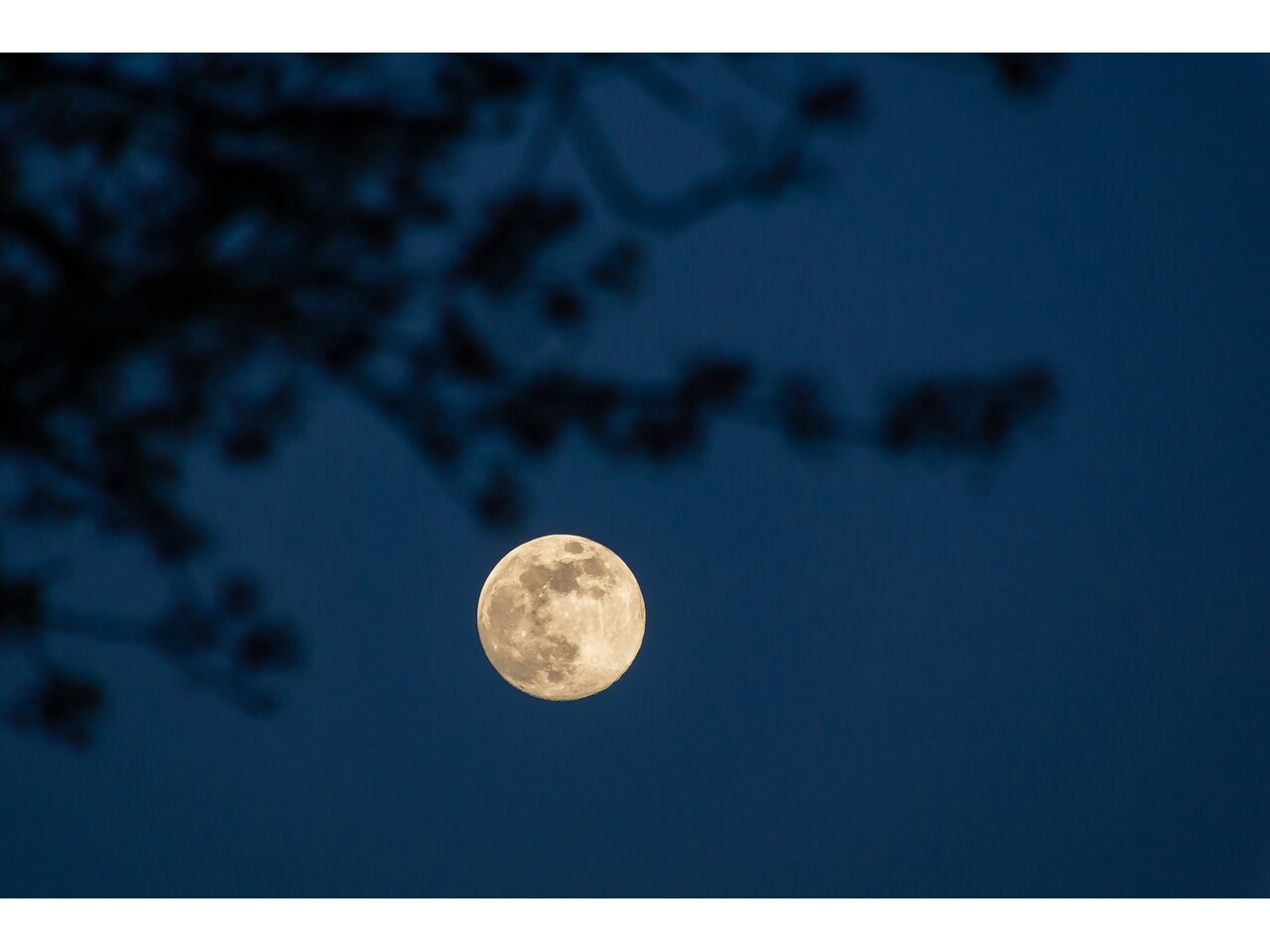 Das Bild zeigt einen wunderschönen Vollmond