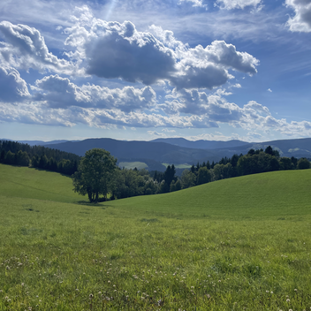 Ausblick | © STG | Lisa Anderle