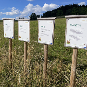 Informativer Rundgang | © STG | Lisa Anderle