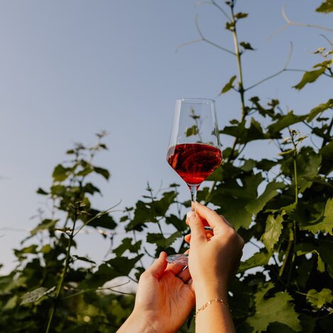 Schilcherwemut Miss Rósy | © Weingut Strohmaier | Koerbler
