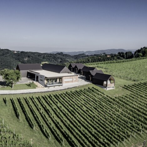 Weingut Skringer | © Weingut Skringer | Weingut Skringer