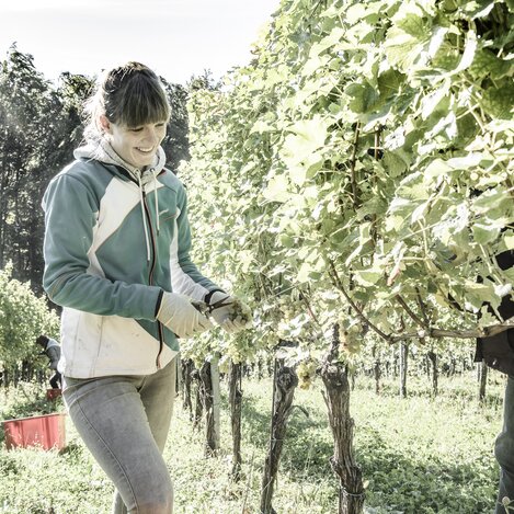 Lena Skringer | © Weingut Skringer | Weingut Skringer