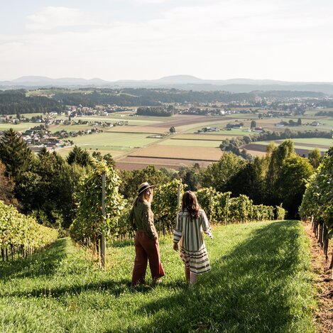Weinberge mit Weitblick: Herbststimmung in der Erlebnisregion Graz. | © Region Graz | Mias Photoart