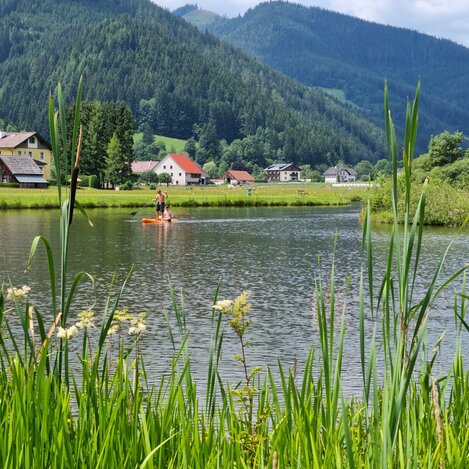 Teichanlage Urani | © Naturpark Mürzer Oberland I Andreas Steininger