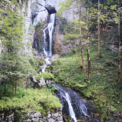 © Naturpark Mürzer Oberland I Günther Steininger