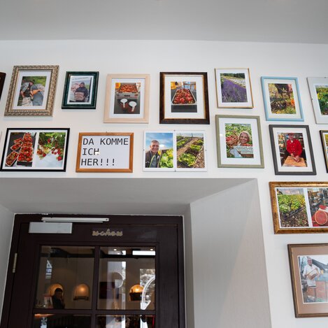 Bilder der Produzenten und Lieferanten | © STG | Miriam Defregger