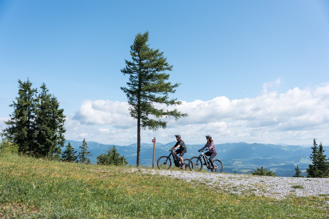 Schöckl Trail Area|Felix Winkler | © Cian J. Baumgartner | Schöckl Trail Area