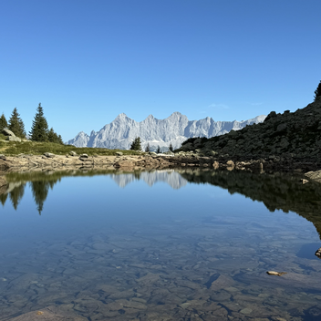 Spiegelsee mit Dachsteinblick | © STG | Franziska Resch