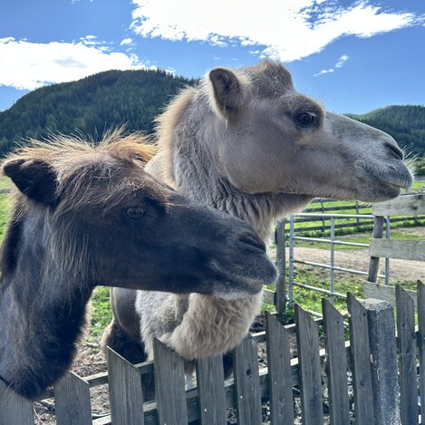 We are family! | © STG | Bettina Hochreiner