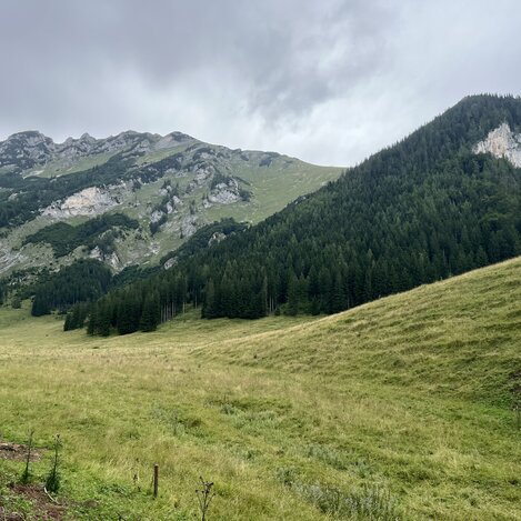 Murmeltierwanderung Zölzboden | © STG | Anja Leitner