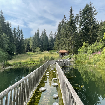 Der Barfußteich wird zum Balanceakt.