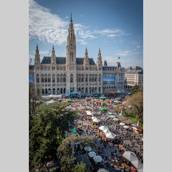 Steirisches Lebensgefühl am Wiener Rathausplatz. | © STG | Jesse Streibl