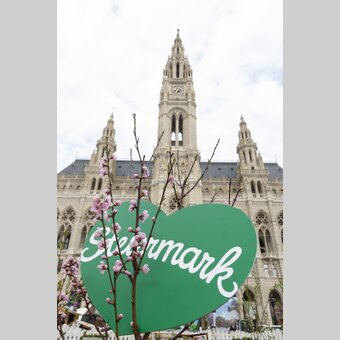 Das Grüne Herz in Wien. | JUERGEN HAMMERSCHMID | © STG | Jürgen Hammerschmid