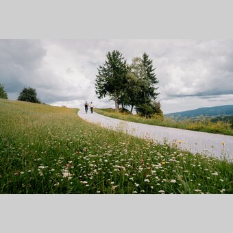 Altes Almhaus MTB Tour | © 5Komma5Sinne | Chris Lukas