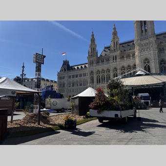 Steiermark-Frühling 2026 in Wien: morgen und übermorgen geht’s los  | © STG | Sabrina Mühlbauer