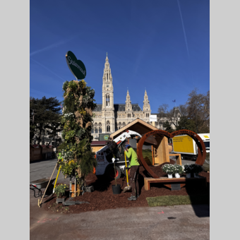 Steiermark-Frühling 2026 in Wien: morgen und übermorgen geht’s los  | © STG | Sabrina Mühlbauer