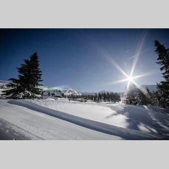 © Harald Waupotitsch/alm8.at | Harald Waupotitsch/alm8.at