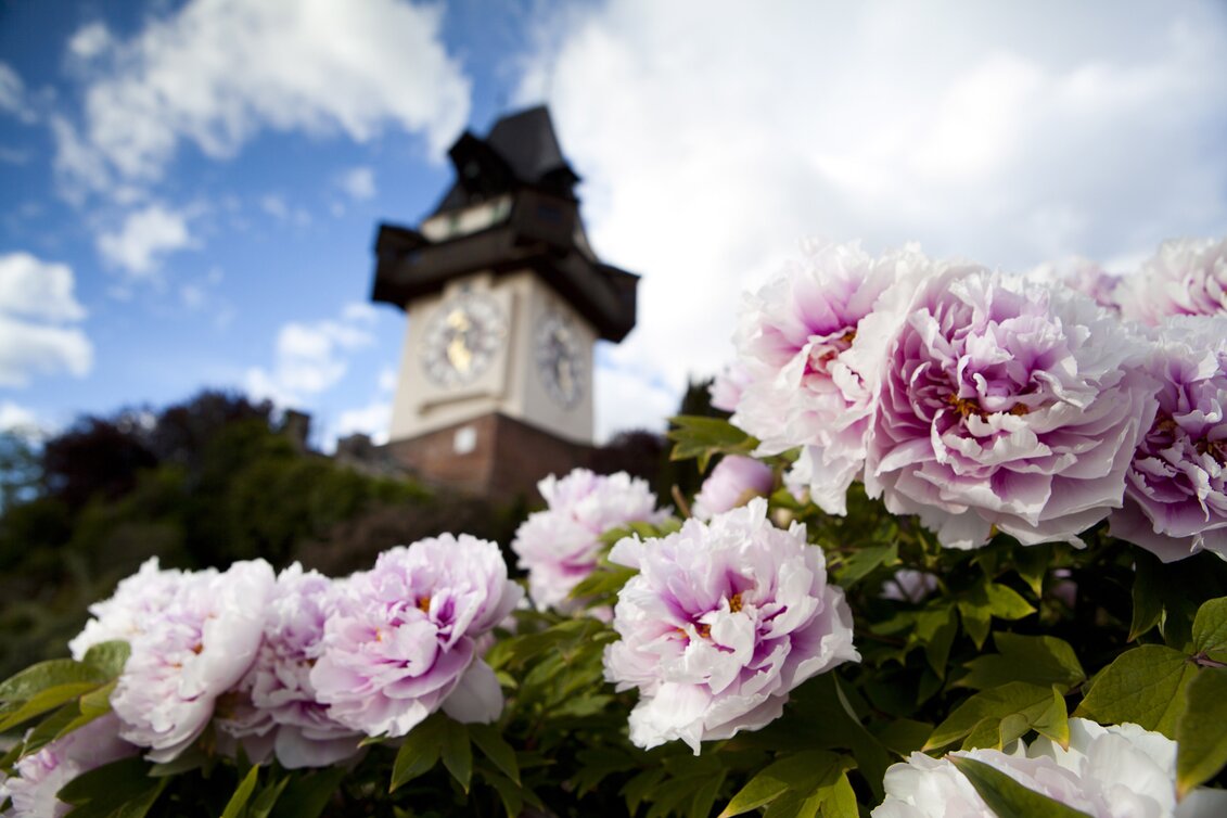 © Steiermark Tourismus / Stefanie Teutsch