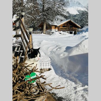 Das Winterherz vor der Biohofkäserei Engelhardt, Ramsau a.D. | © Ute Hödl