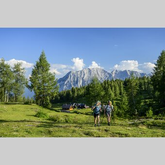 Wanderroute Vom Gletscher zum Wein: Etappe 4 auf der Tauplitzalm | © Seiermark Tourismus / pixelmaker.at