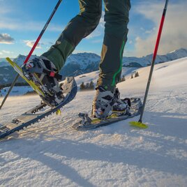 Schneeschuhwandern in der Region Murau