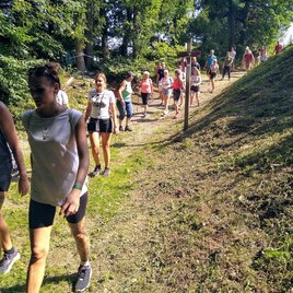 A group of people is hiking on a sunny path through nature. Trees and green grass surround the trail.