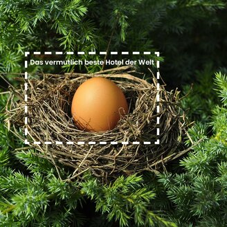 Nest mit Ei mit gestricheltem Rahmen darin | © Chez Company GbR