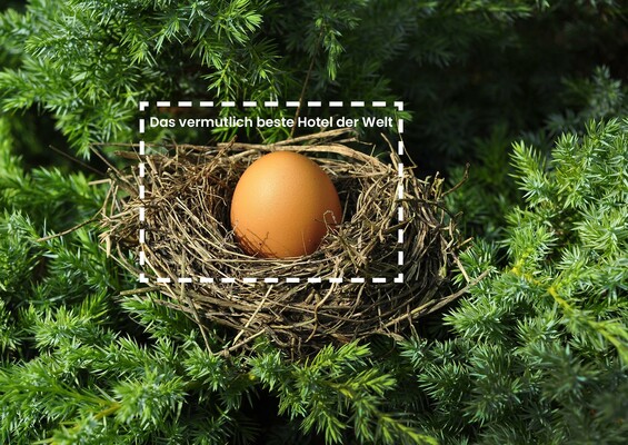 Nest mit Ei mit gestricheltem Rahmen darin | © Chez Company GbR