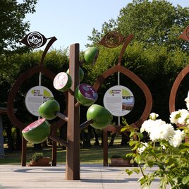 Eine künstlerische Installation mit großen, stilisierten Objekten und informativen Tafeln. Umgeben von Blumen und Grünflächen wirkt der Bereich einladend und interessant. | © Tourismusverband Oststeiermark