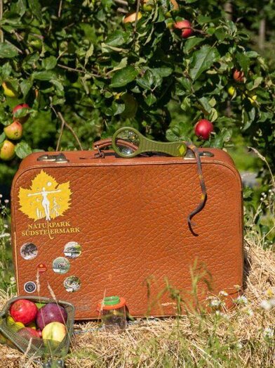 Des Obstgartens Kern | RMSW Naturparkpartner | © RMSW Naturparkpartner