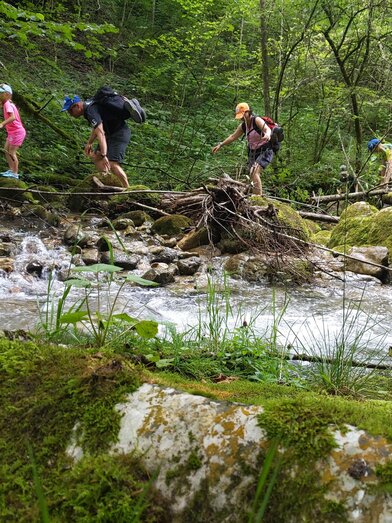 Familiencamp Reiter | Reiter