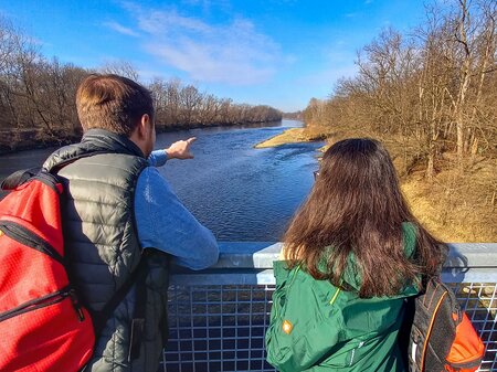 Guided hike in the wetlands of the river Mur | © Spirit of Regions