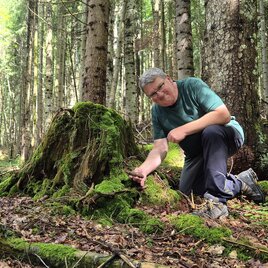 Jürgen Freller von Raus in die Natur kniet in einem idyllischen Wald neben einem moosbedeckten Baumstumpf. Während der Vitaltage im Ausseerland bietet er die Waldmomente an. 