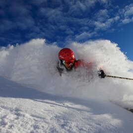 Powder-Alarm | © ALPFOX Berg- und Skischule