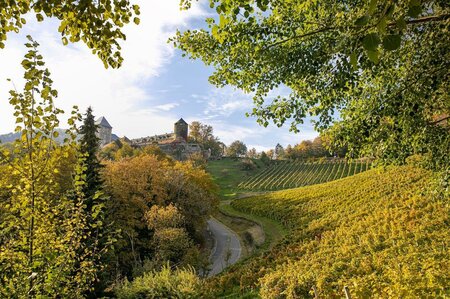 Weingärten: Schilcherberg im Herbst | © Schilcherland Steiermark
