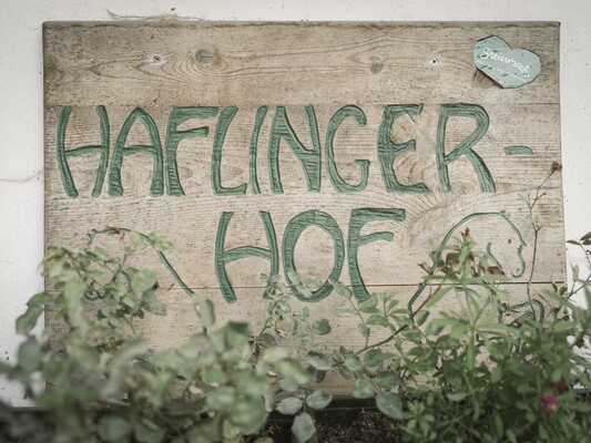 Willkommen am Haflingerhof in Gams! | © Stefan Leitner