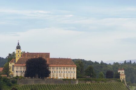 Schloss Stainz_Weingarten | © N. Lackner