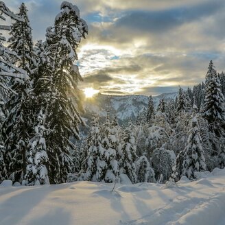 Winterlandschaft in der Dämmerung | © Christian Scheucher